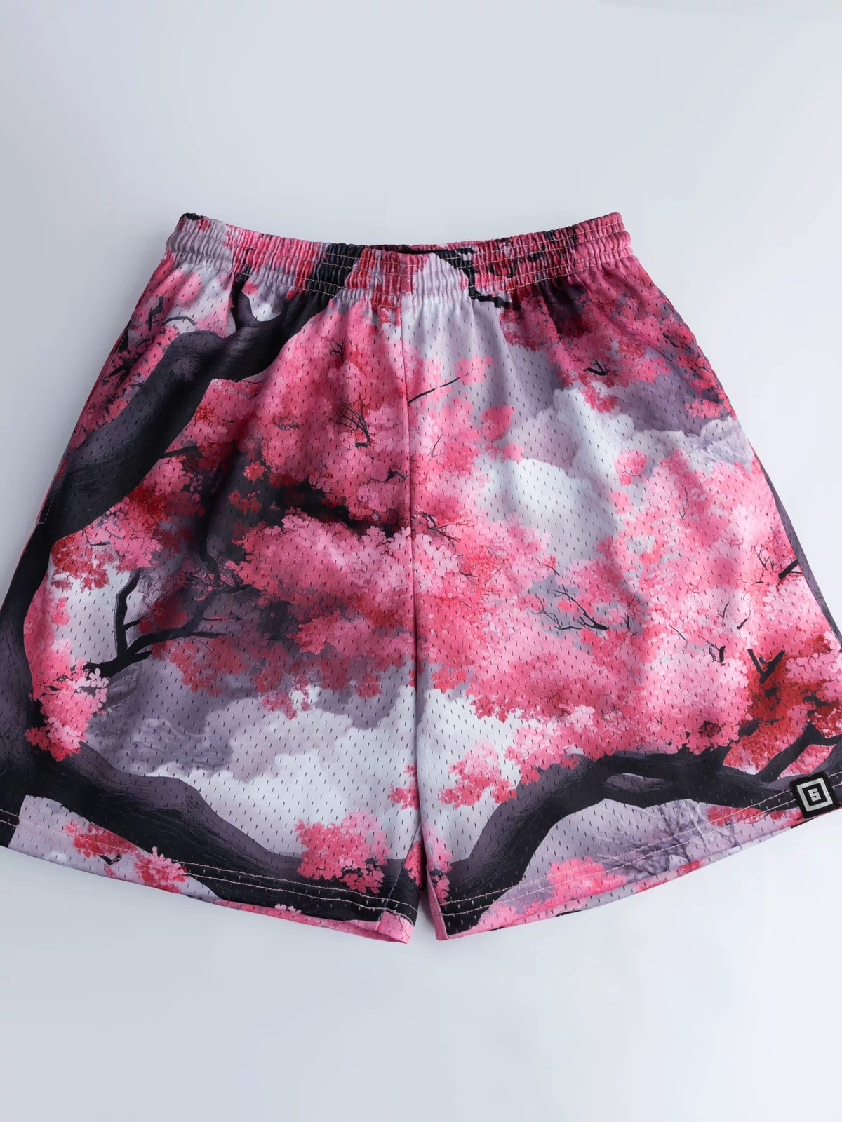 Cherry Blossom