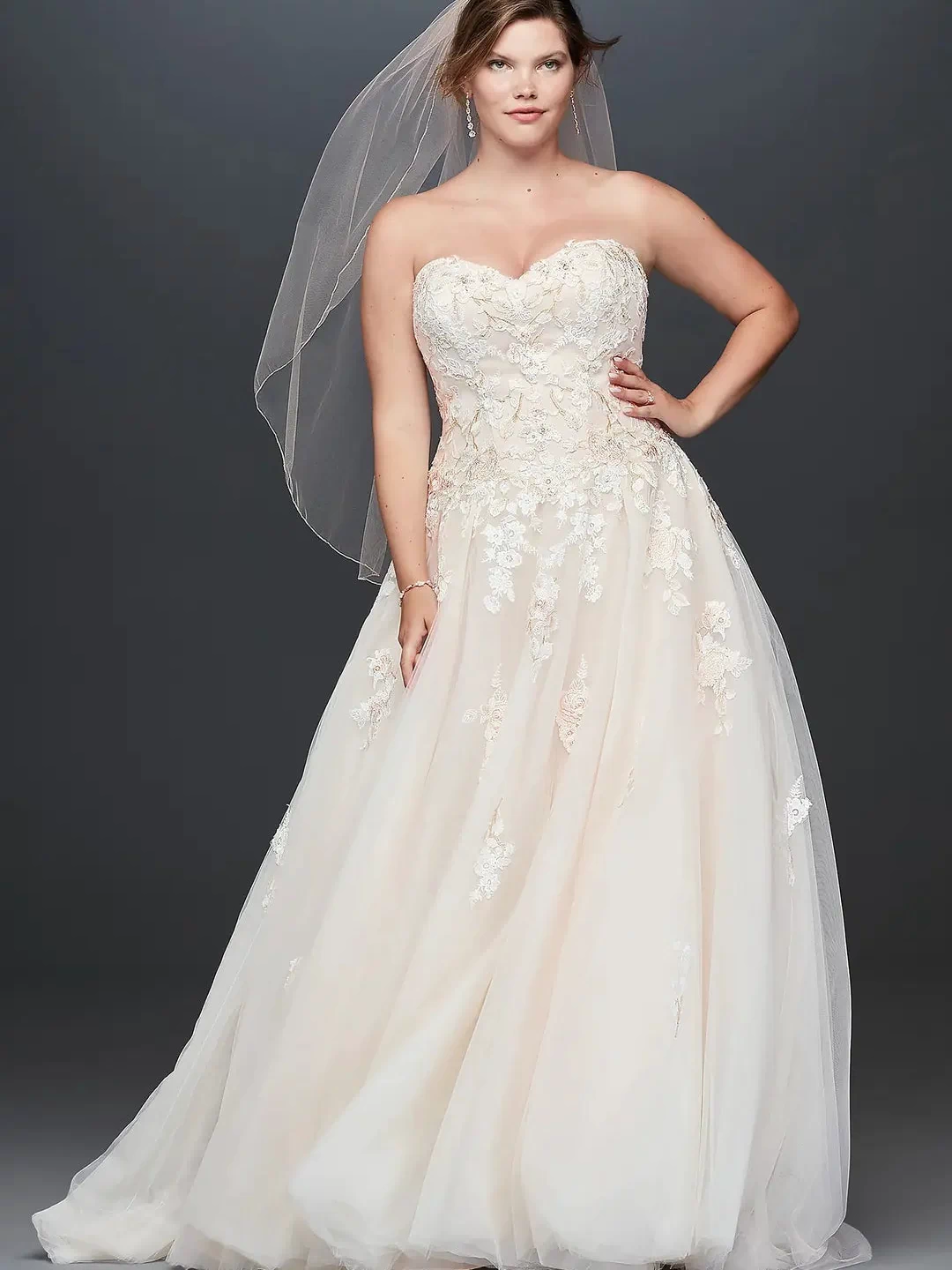 Embroidered Lace Applique Ball Gown Wedding Dress [sanity-src]