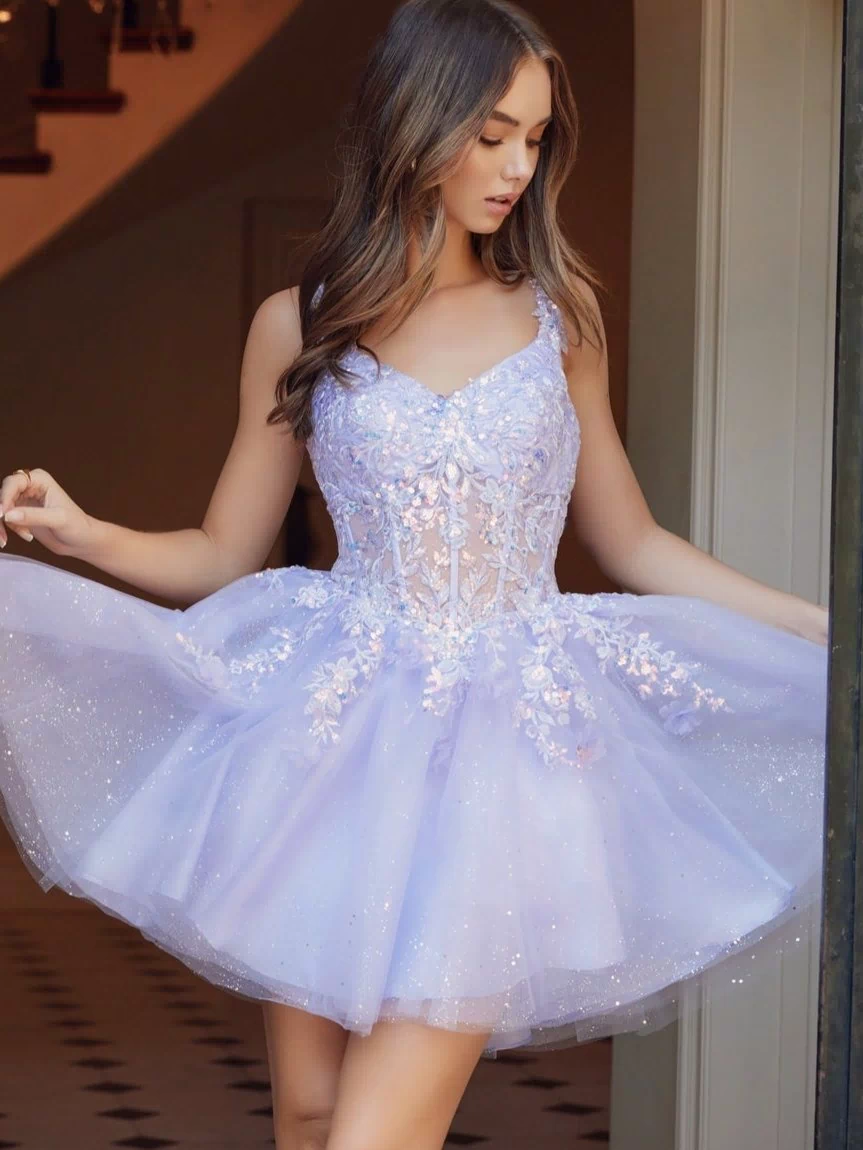 Embroidered-Bodice Short A-Line Hoco Dress H846