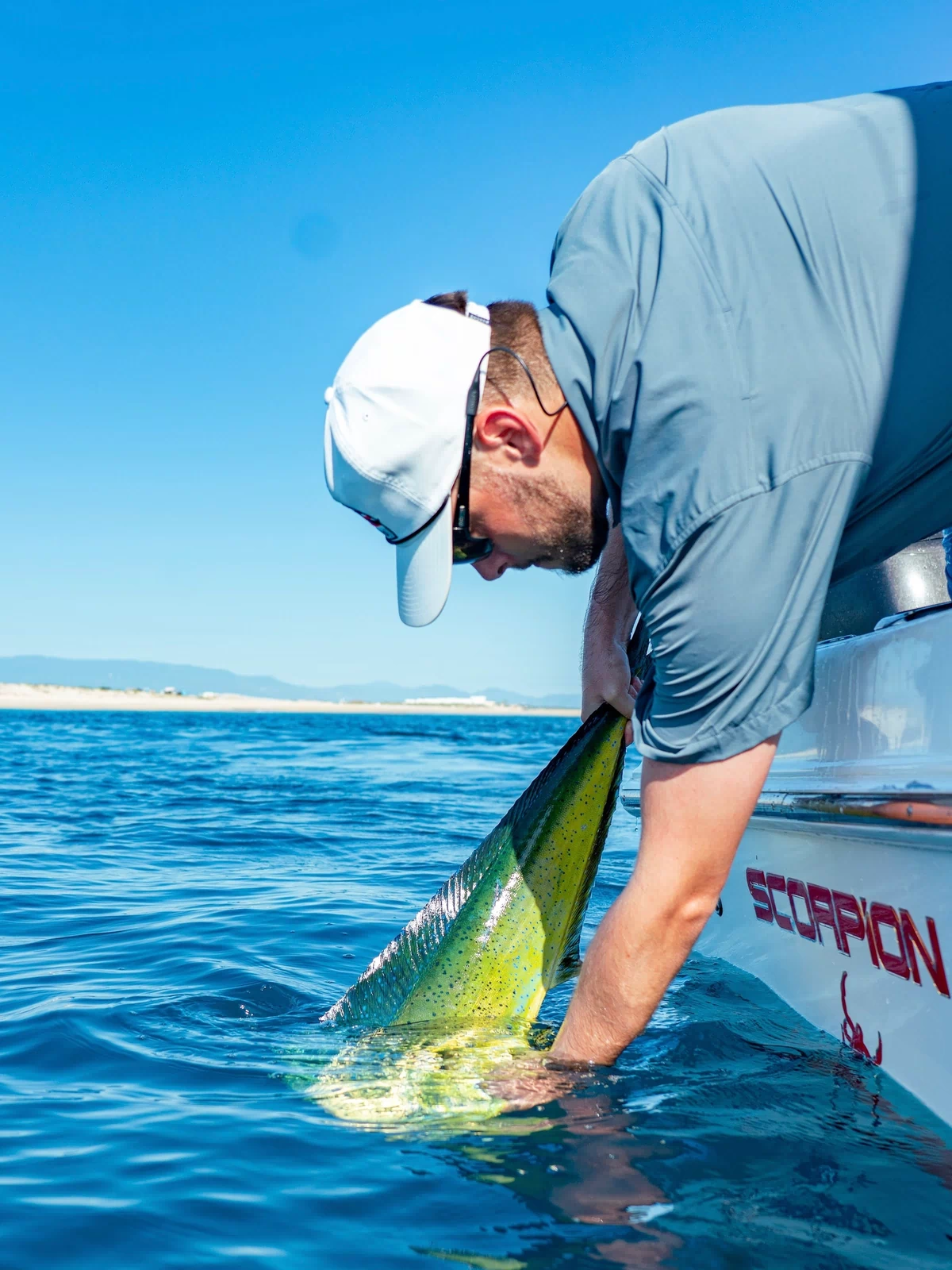 man putting mahi dolphin back into water