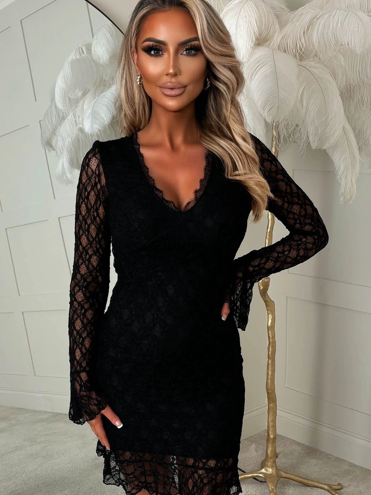 Black Lace Long Sleeve Mini Dress